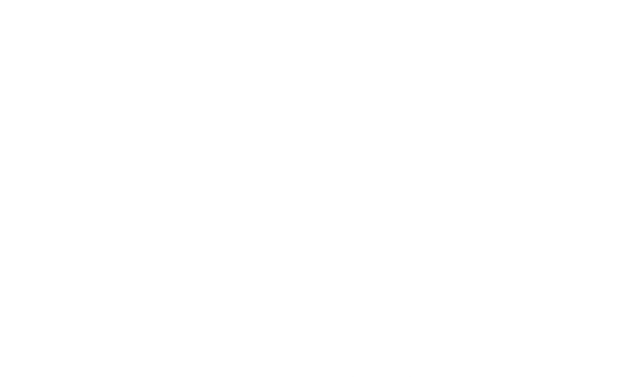 AnyMessage Logo